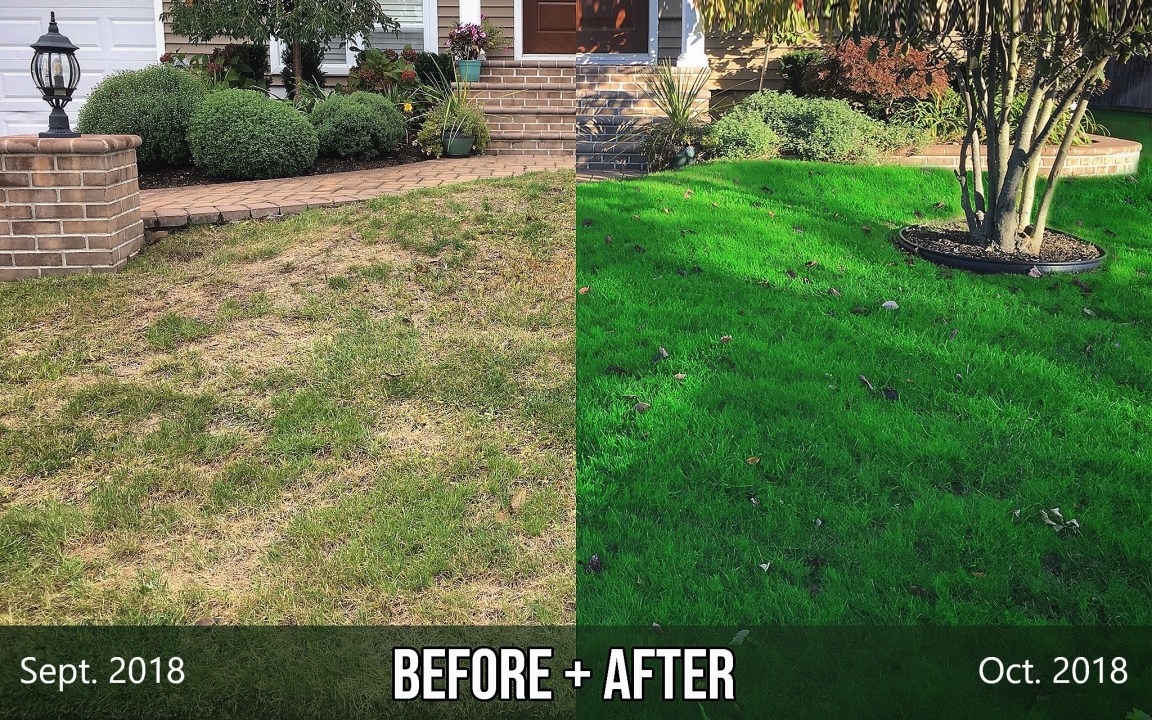 Lawn Care Treatments
